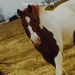 Gage Garner - @gage.garner - Instagram