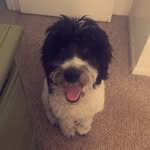 Gage Garner - @_gage_g_garner_ - Instagram