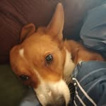 Gage Gray - @gagegray2 - Instagram