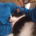 Gage Griffin - Facebook