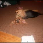 Gage Haley - @gage.haley.1 - Instagram