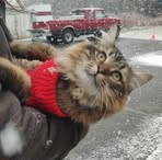 Gage Haley - Facebook