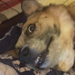 Gage Kelly - @_im_uglier_ - Instagram