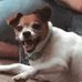 Gage Lingle - Facebook