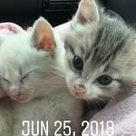 Savage And Luna - @gagelingley07 - Instagram