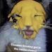 Gage Linnear - Facebook