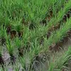 gagemckee927 - @gagemckee927 - TikTok