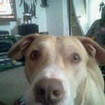 Gage Schmidt - @schmidtgage - Instagram