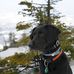 Gage Shockley - Facebook