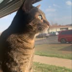 Gage Simmons - Facebook