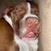 Gage Snyder - Facebook