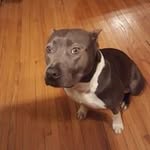 Gage Steele - @gagesteele07gmail.com_ - Instagram