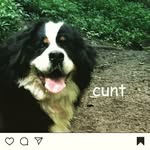 Gage Stephens - @gage.stephens.79 - Instagram