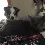 Gage Walker - @gage.walker.1042 - Instagram