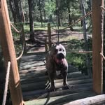 Gage Williamson - @gagew_do - Instagram