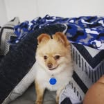 gage.williamson1 - @gage.williamson1 - Instagram
