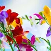 Donna Gail AbneyVires - @donna.gail.abneyv - TikTok