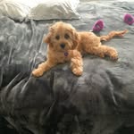 Gailabrams - @gailabrams27 - Instagram