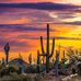 Gayle Amundson - Facebook
