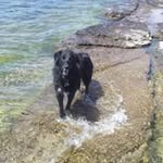 Gail Archer - @fomulder - Instagram
