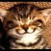 Gail Arnado - Facebook