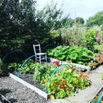 Gail Ash - @gaila70 - Instagram