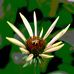 Gail Ashby - Facebook