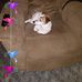 Gail Ashcraft - Facebook