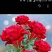 Ayesha Gul - Facebook