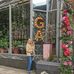 Gail Ashmore - Facebook