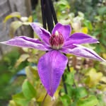 Gail Ashmore - @gail.ashmore - Instagram