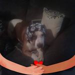 Gail Atwell - @gailatwell53 - Instagram