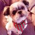 Gail Atwell Arbogast - Facebook