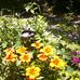 Gail Ayers - Facebook