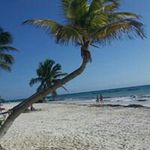 Gail Bach - @gailbach - Instagram