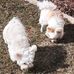 Gail Bair - Facebook
