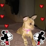 Gail Baird - @gail.baird.144 - Instagram