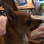 Gail Baird - @gail.baird.1426 - Instagram