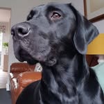 Gail Bairstow - @gailbairstow - Instagram