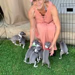 Gail Balch - @gailbalch1980 - Instagram