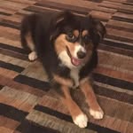 Gail Balch Lander - @dglander2018 - Instagram