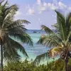 Gail Ballard - @gail.ballard - TikTok