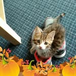 Gail Barbour - @gbarbour56 - Instagram