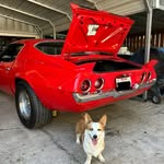 Gail Barfield-Allonby - @camarosncorgis - Instagram