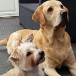 Gail Barlow - @barlow5602 - Instagram