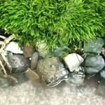 gail barlow - @gail5576ck - Instagram
