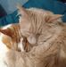 Gail Barlow - Facebook