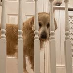 Gail Barlow - @gail_barlowsteval - Instagram