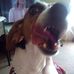 Gail Barnes - Facebook