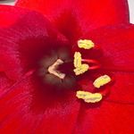 Gail Barrow - @gail.b2023 - Instagram